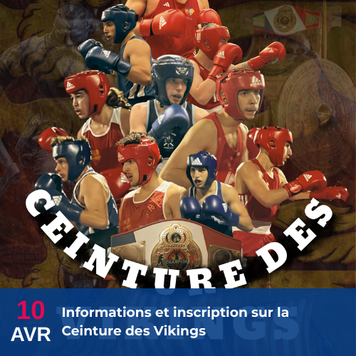 Ceinture des Vikings