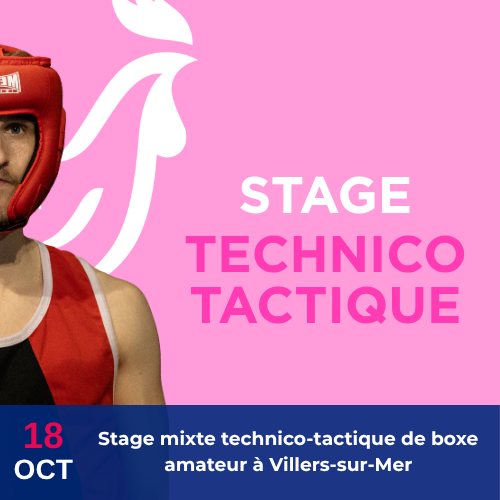 Stage technico-tactique de boxe amateur à Villers-sur-Mer